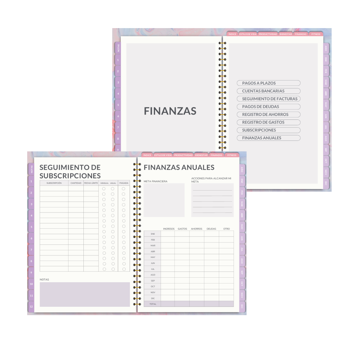 Plantilla de control financiero